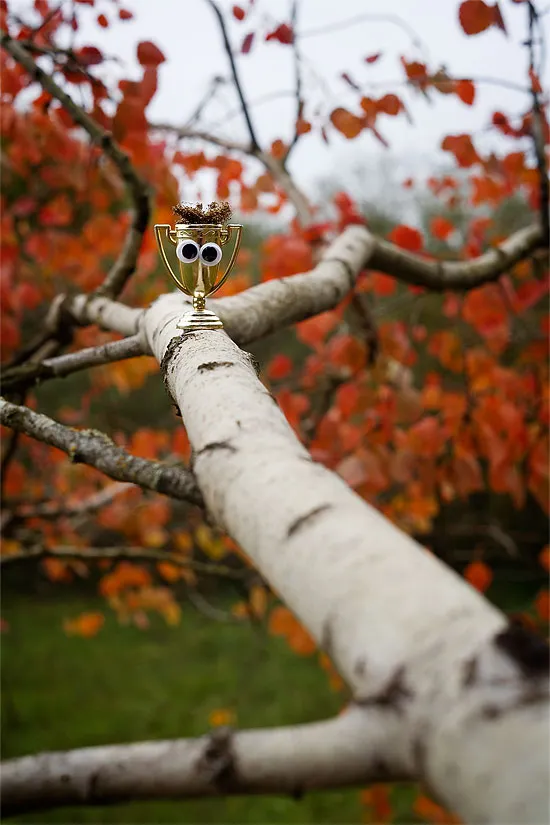 GooglyPrize GooglyEyes bonus image 106