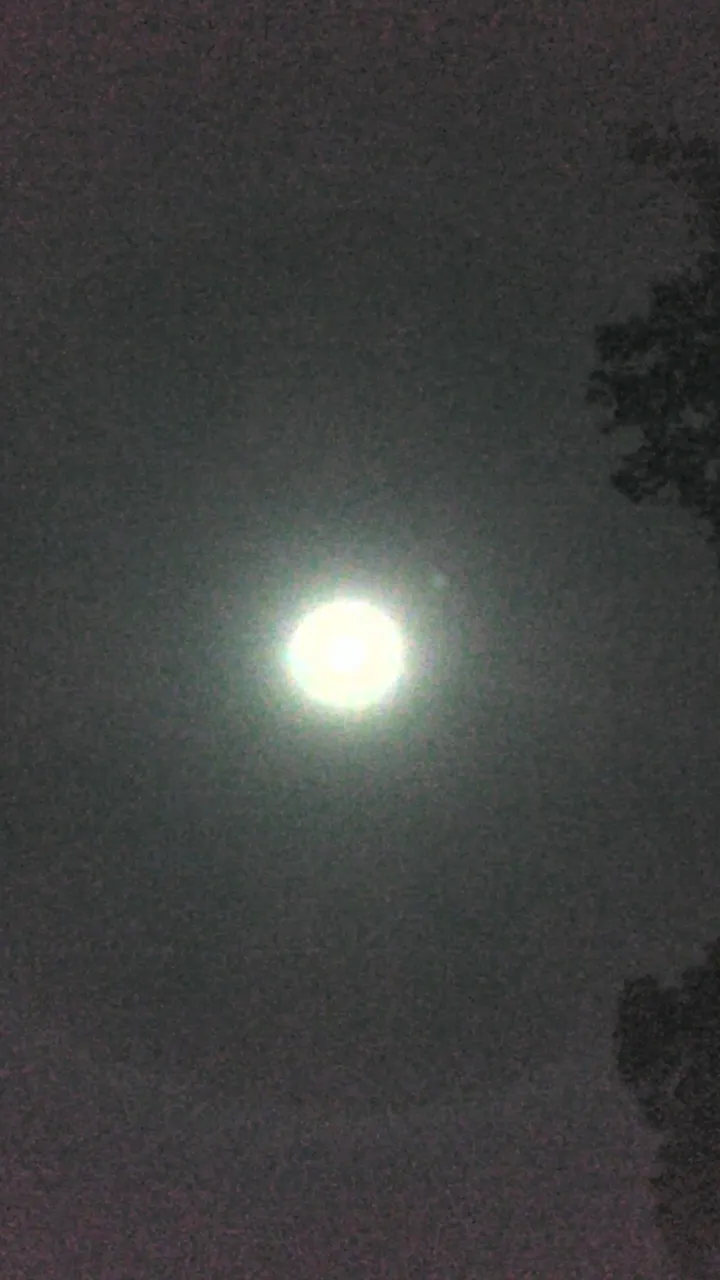 2017-12-02_23-40-46_Night.jpg
