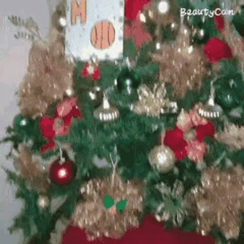 132043975_416510359493428_2136679959590632690_n.gif