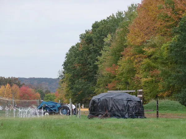 Hay stack undercover crop Oct. 2020.jpg