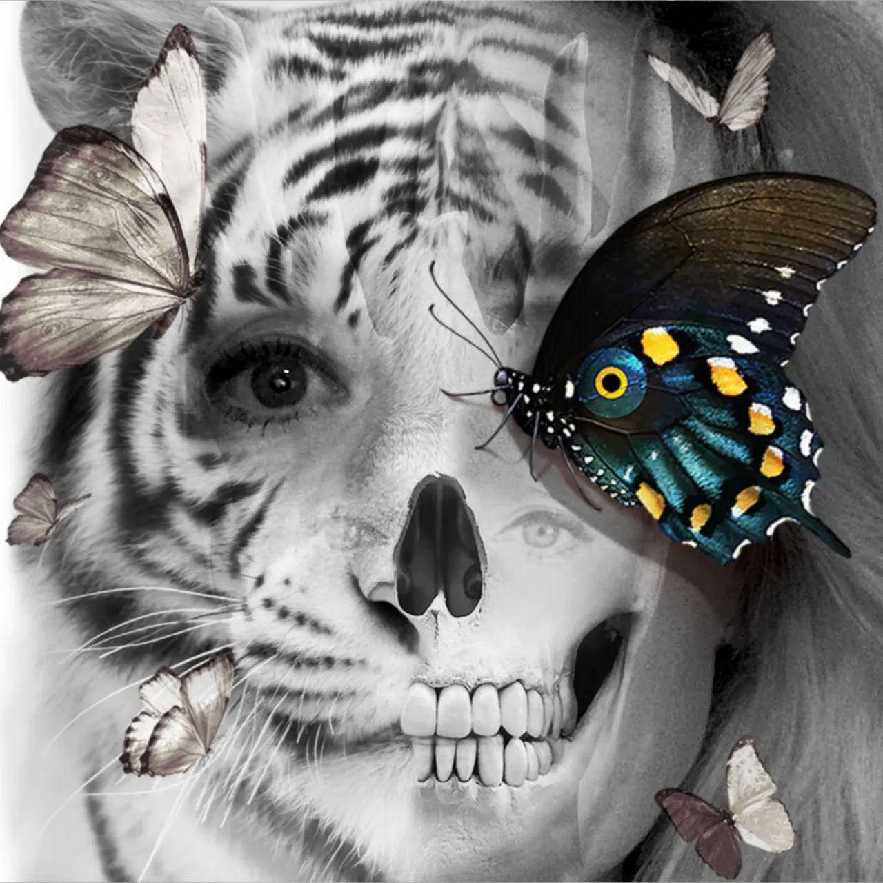 9E4A70B70F234E0BB10C431203E20A20.jpeg