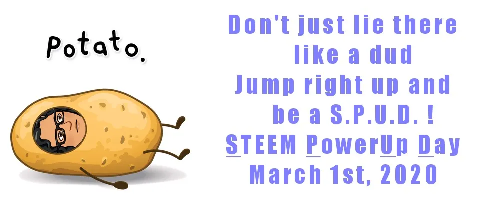 EB06D012E36C470BA3A8E072690889D0.jpeg
