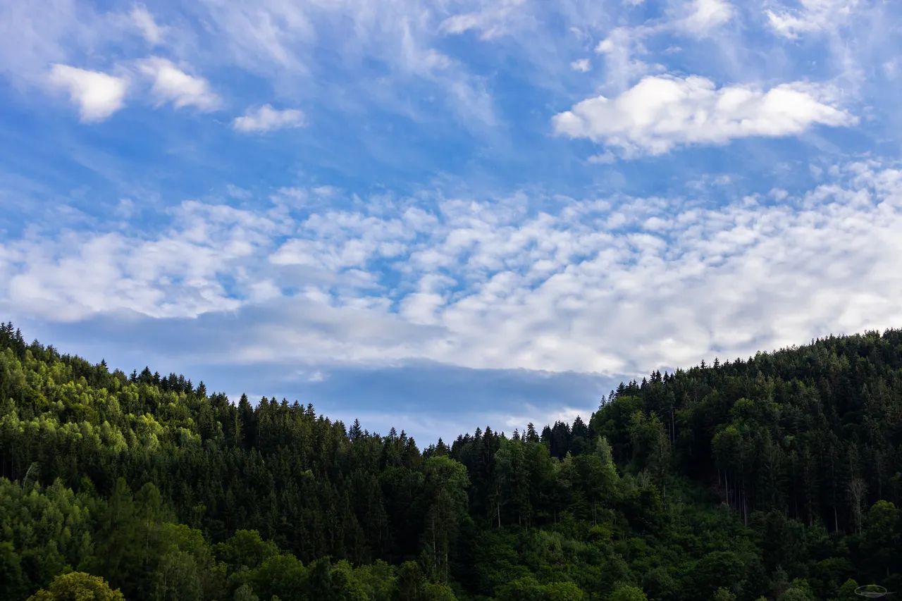 Cloudy Sky over Woodland in Carinthia, Austria