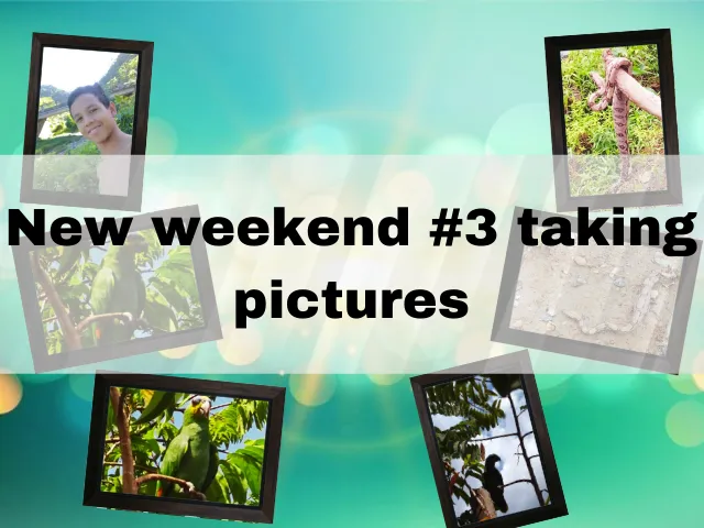 new_weekend_3_taking_pictures.png