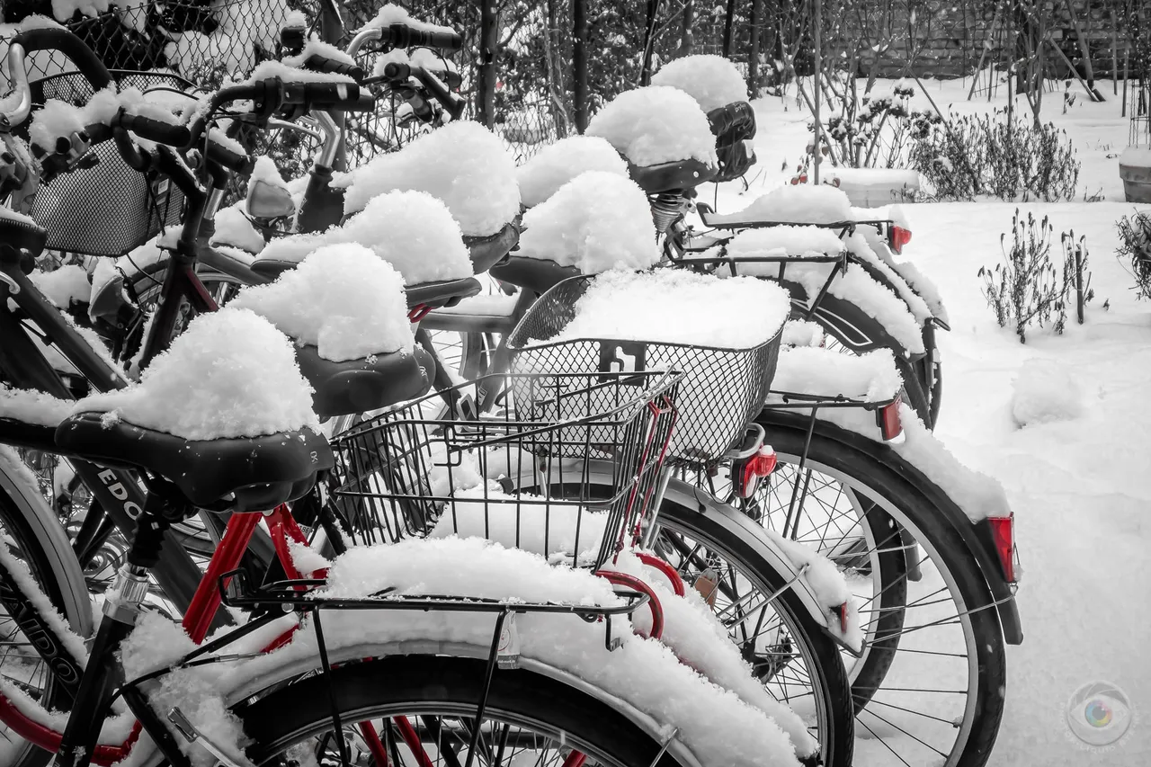 Snowy Bicycles in the Backyard