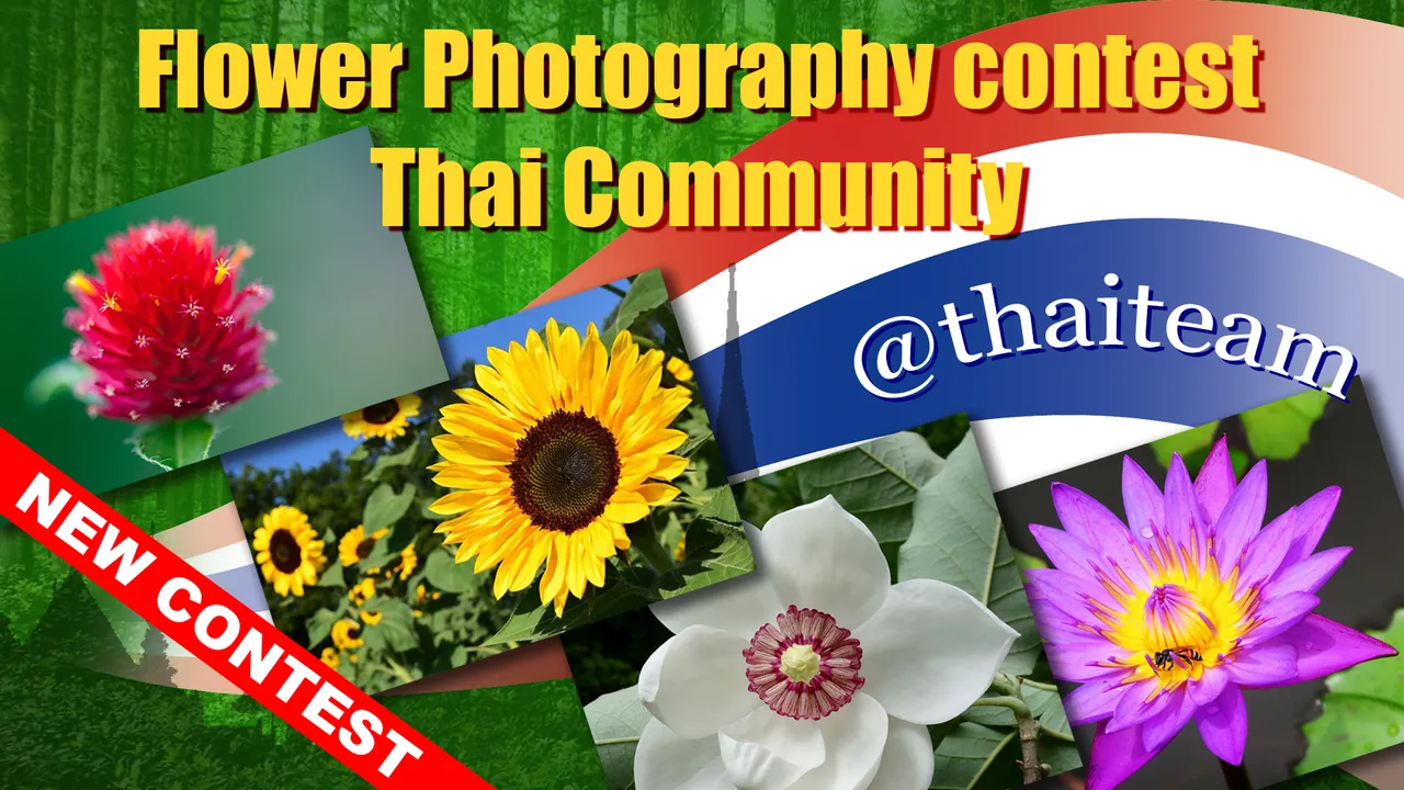 flower_photography_contest_n4.png
