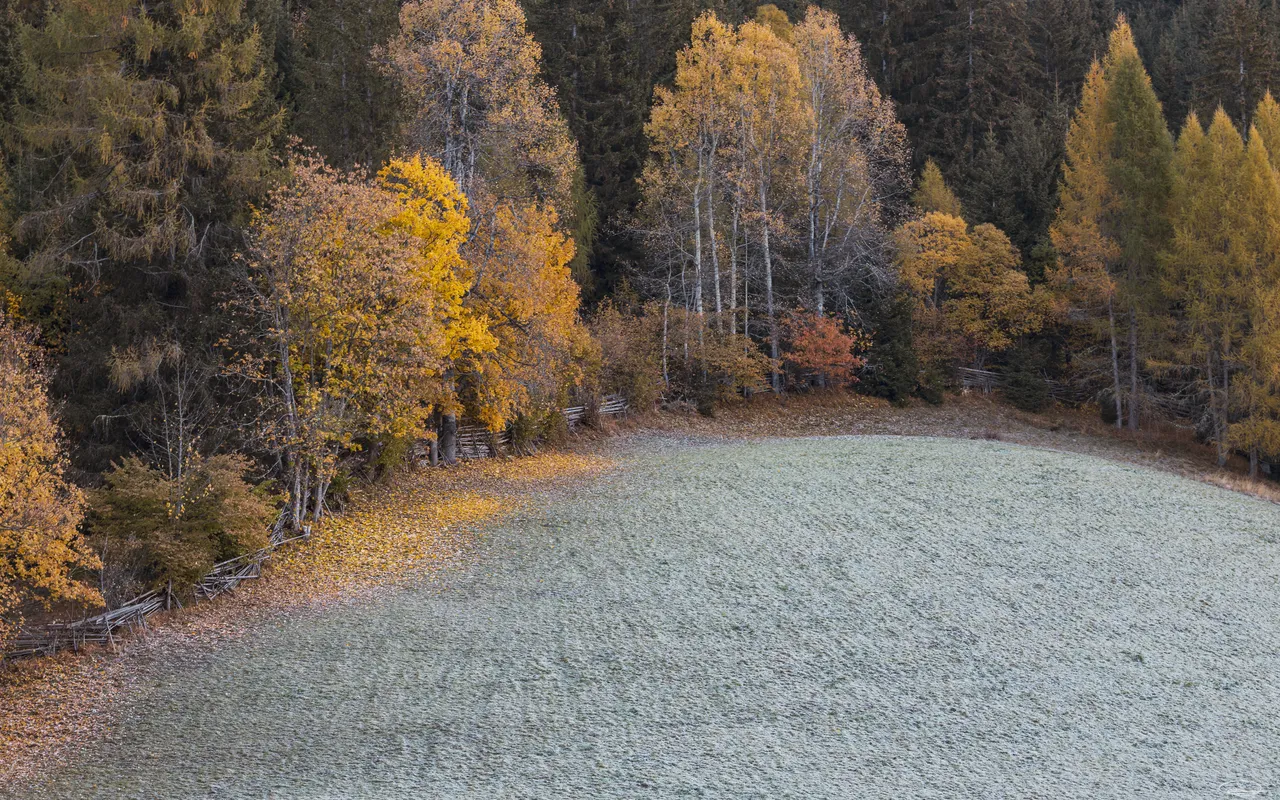Fall Landscapes - Season Hunt - Week 6