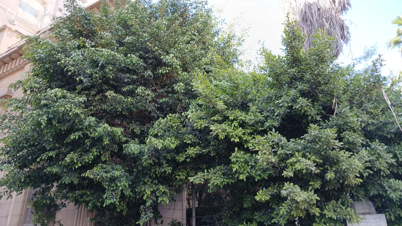 20250414_144534_copy_6169x3472.jpg