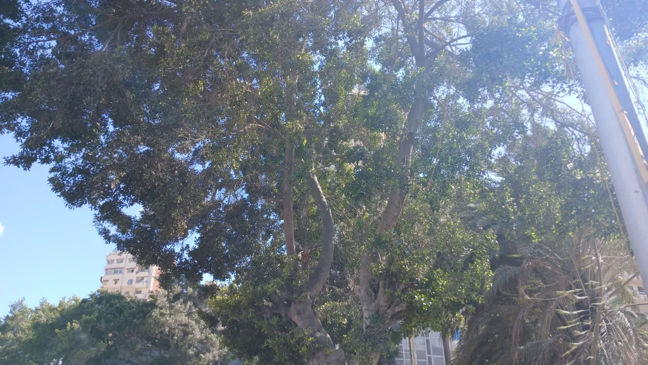 20250414_143131_copy_6414x3609.jpg