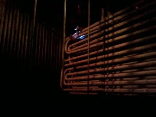 1916013_305201020365_3889685_n.jpg