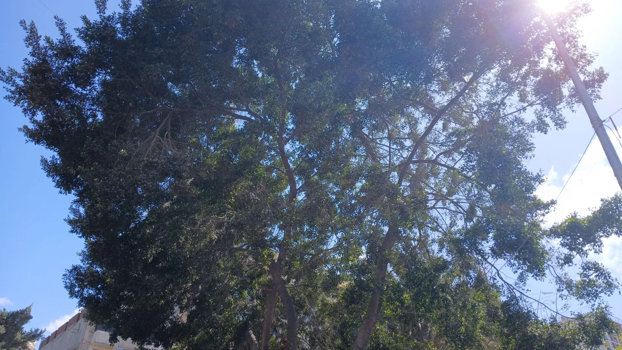 20250414_143112_copy_6340x3568.jpg