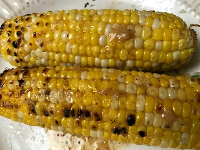 corn new england roasted.jpg