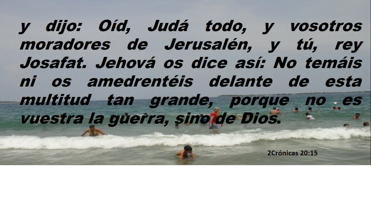 Captura de pantalla (55).png