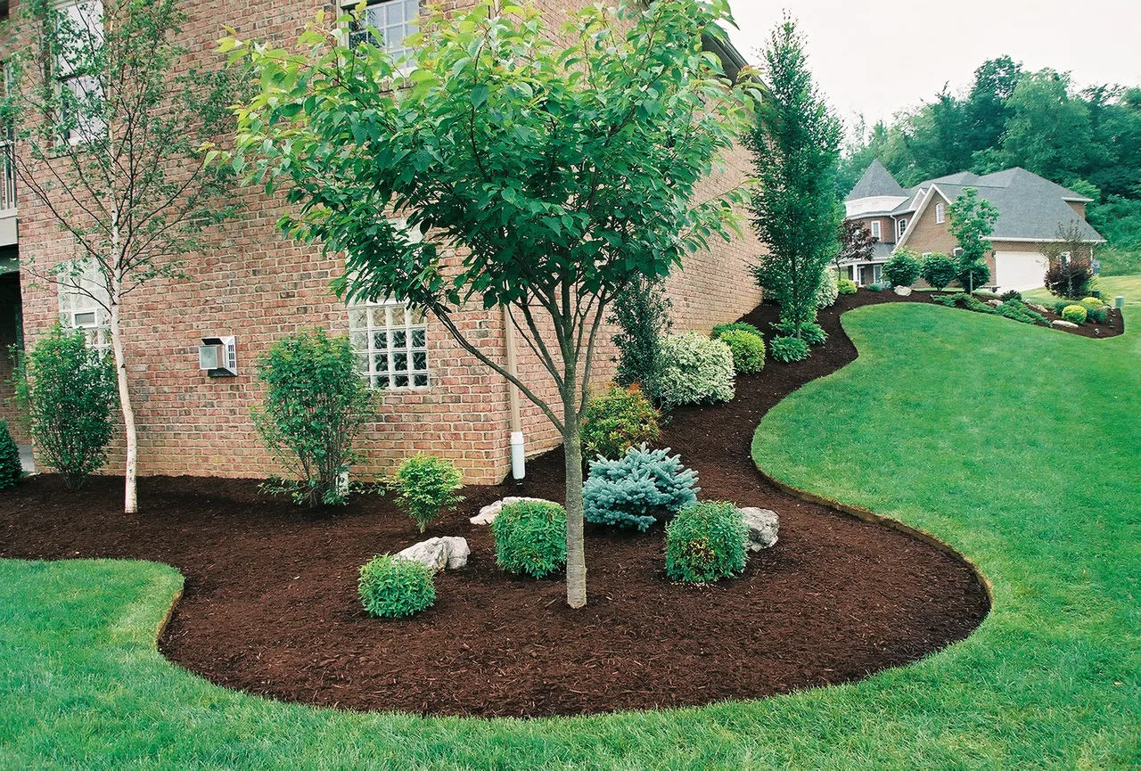 gorgeous-landscaping-augustjpg.jpg