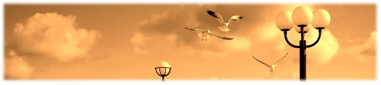 Seaguls in the Sky_sepia.jpg