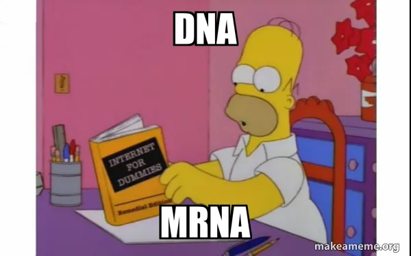 dna-mrna-621b4bb936-3603741836.jpg