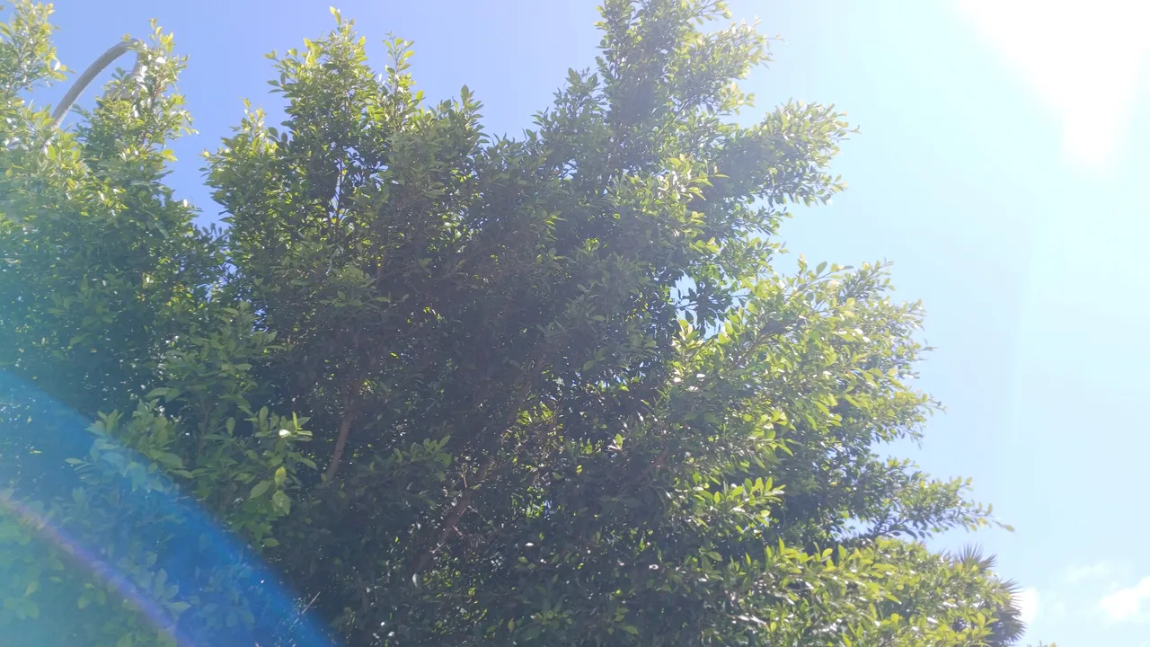 20250414_142626_copy_8160x4592.jpg