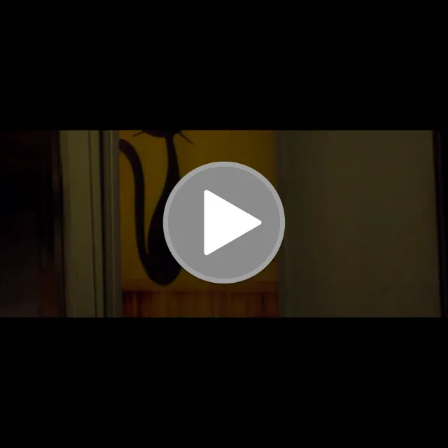 videos/068720071d875113c838f0f55a80b81d-00001.png