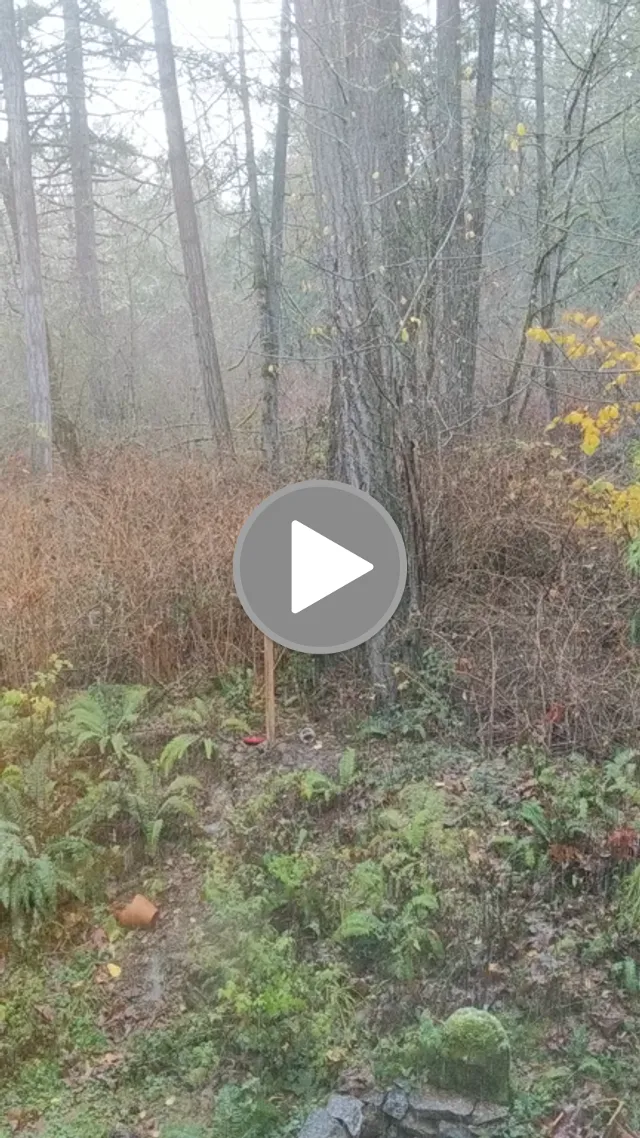 videos/61e8444c85a2f8b85f6ef852f3761178-00001.png