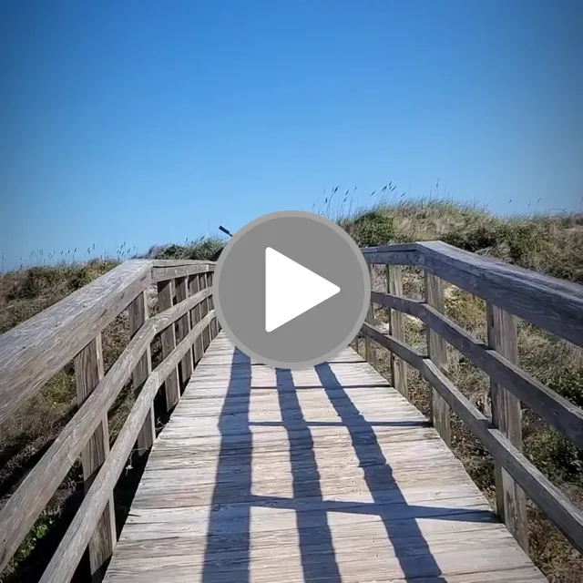 videos/9db87dda62ea1213704bac3cdce813cc-00001.png