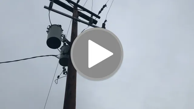 videos/f7029fd67462072583cf551a6b33129b-00001.png