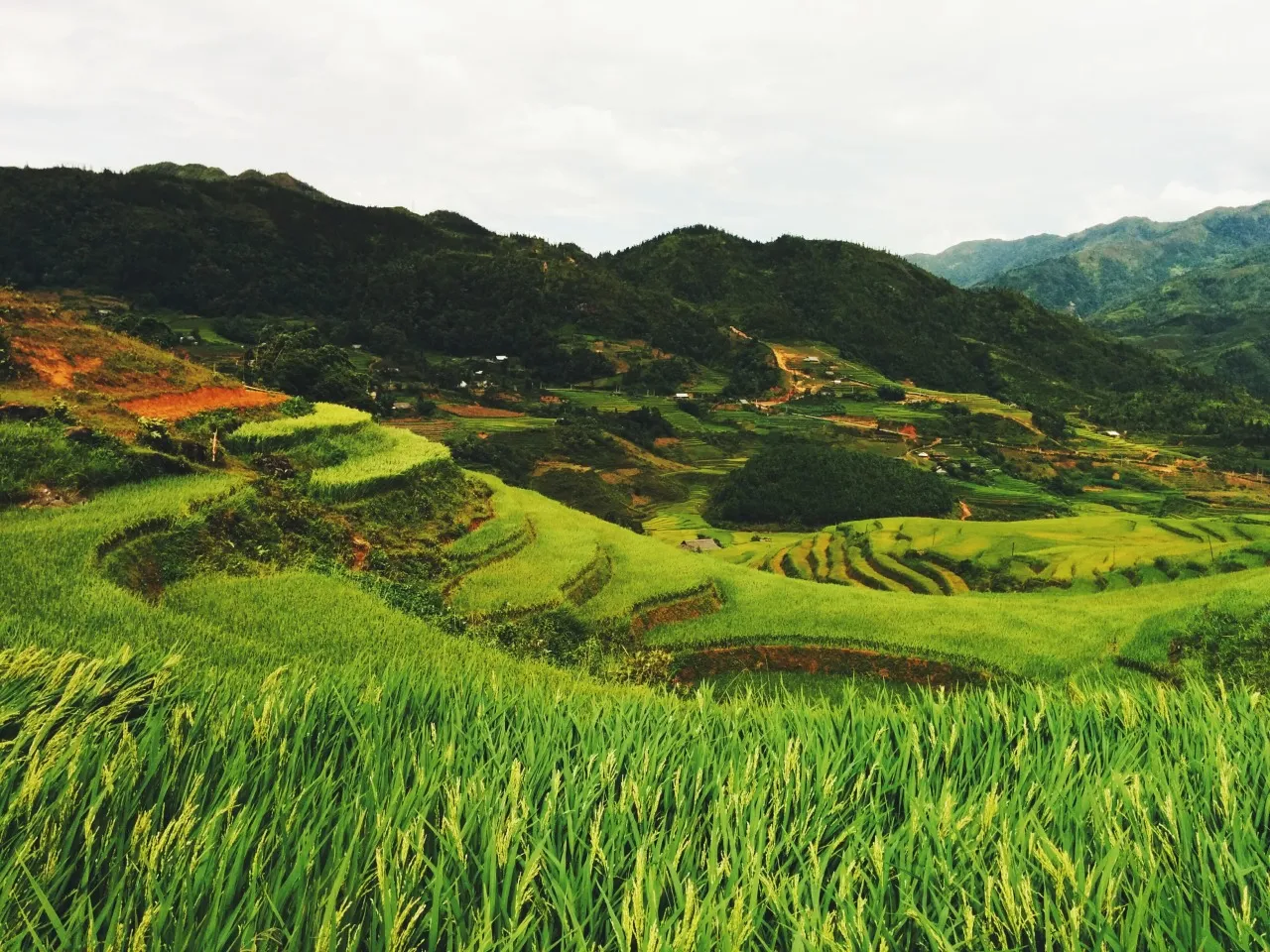 83.Sapa Valley, Vietnam.jpg