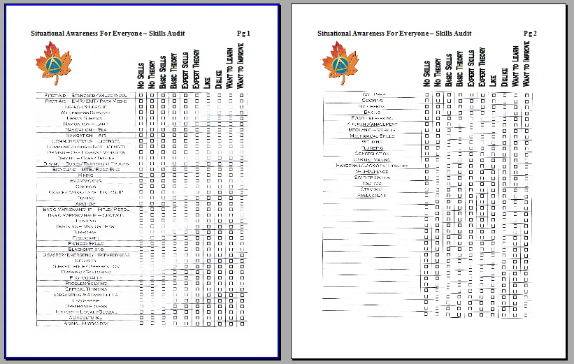 SAFE 1 Skills Audit Form 2018.png