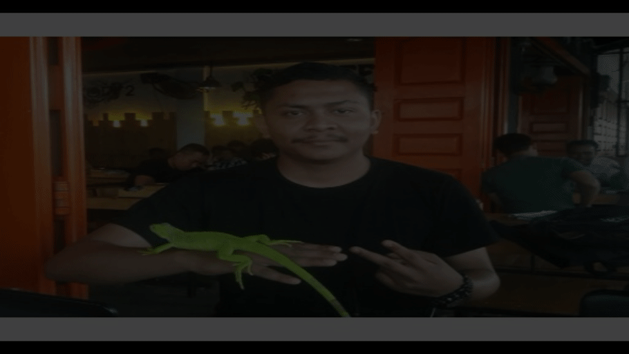 LEGEND_20180325_020742[1].gif