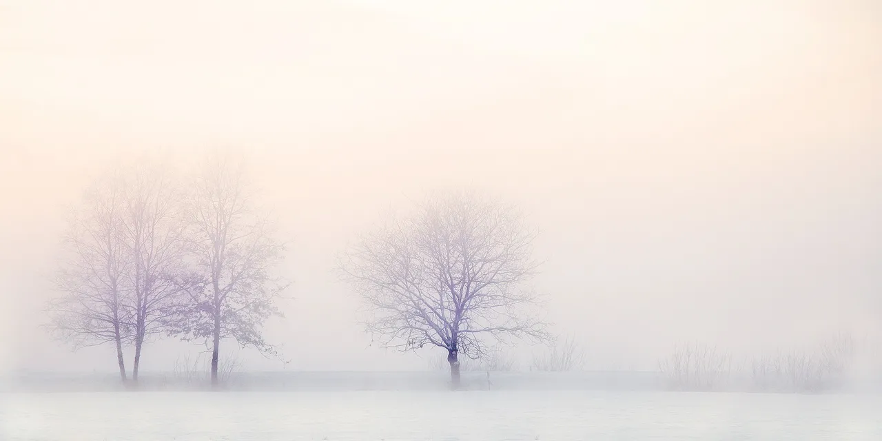 winter-landscape-2571788_1920.jpg