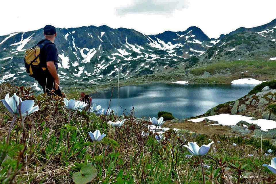 retezat-national-park-romania.jpg