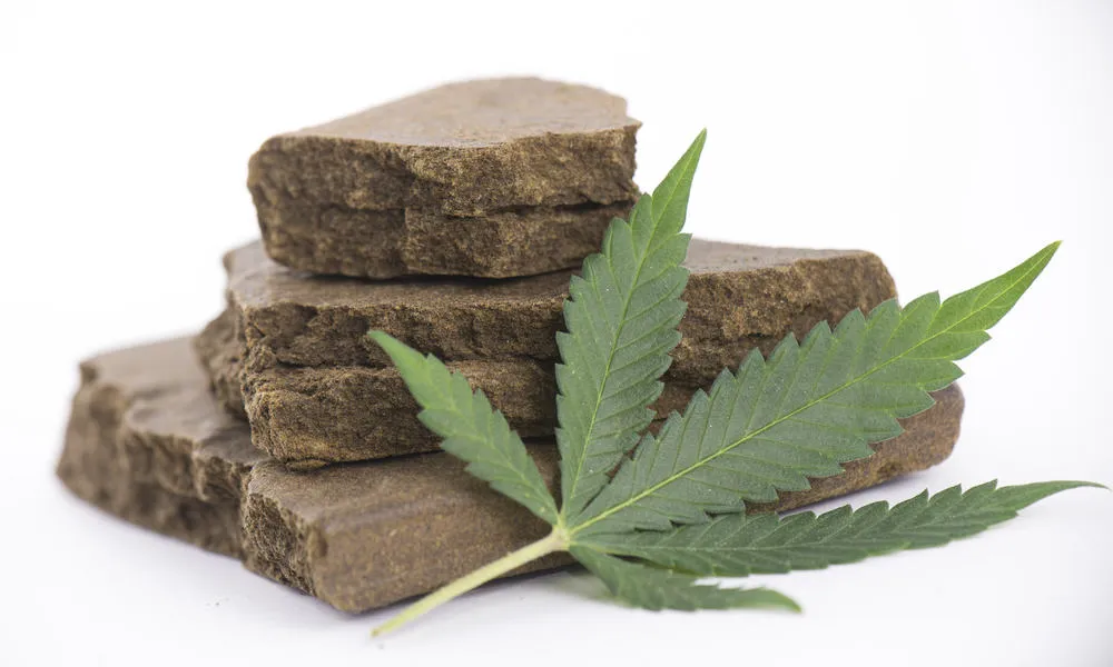 hashish-history-hash-humans-1.jpg