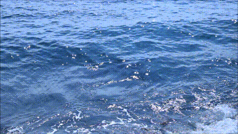 Calm_waves_close_to_the_shore.gif