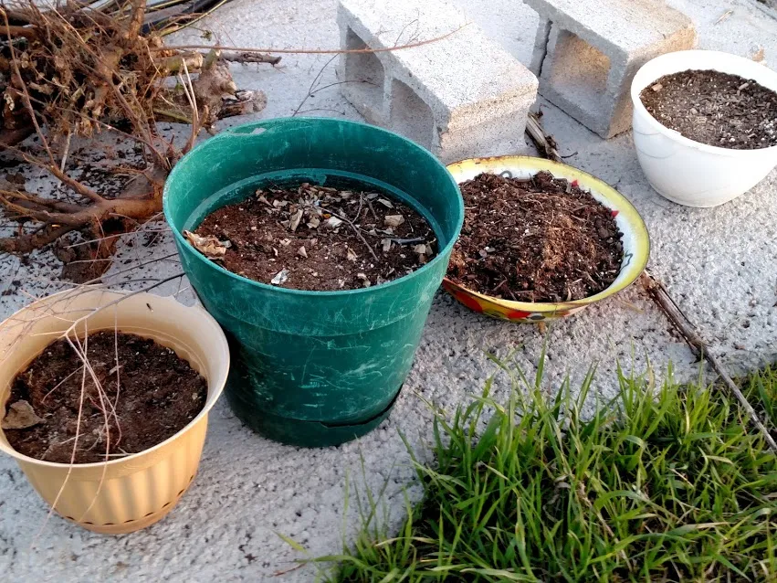 Pots IMG_20180428_195541780.jpg