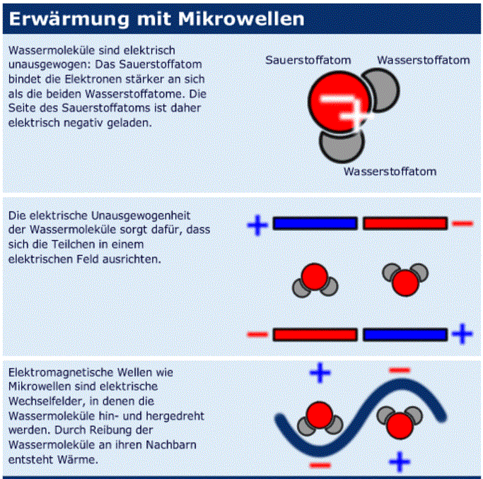 csm_phd-mikrowelle_6f66efc64c.gif