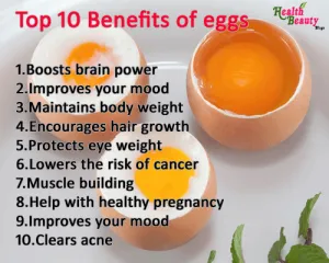1750_benefits-of-eggs-300x240.png