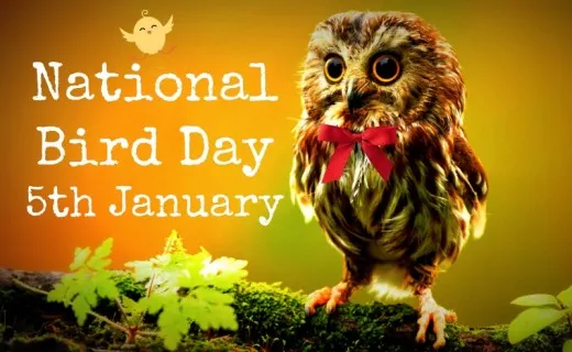 National-Bird-Day-5th-January.jpg