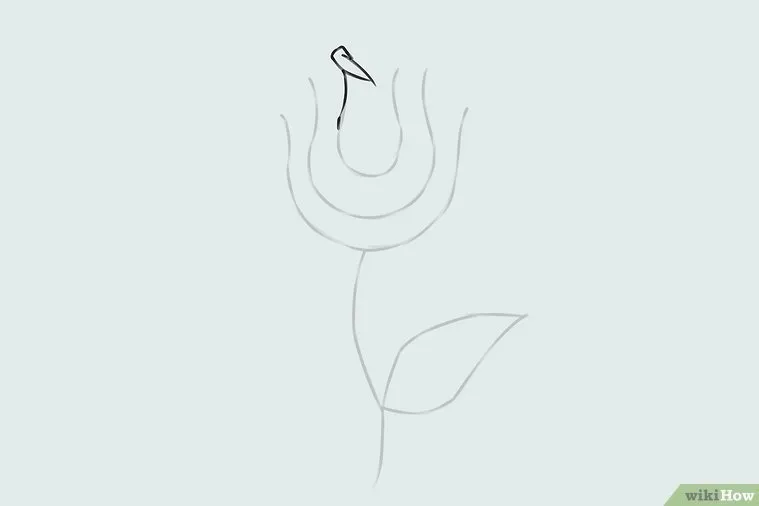 v4-759px-Draw-a-Flower-Step-3.jpg