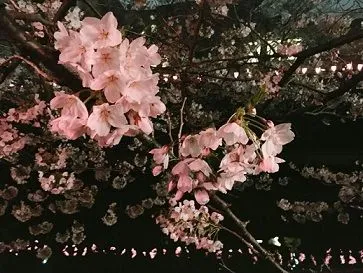 S - attachImage_610029642.jpg