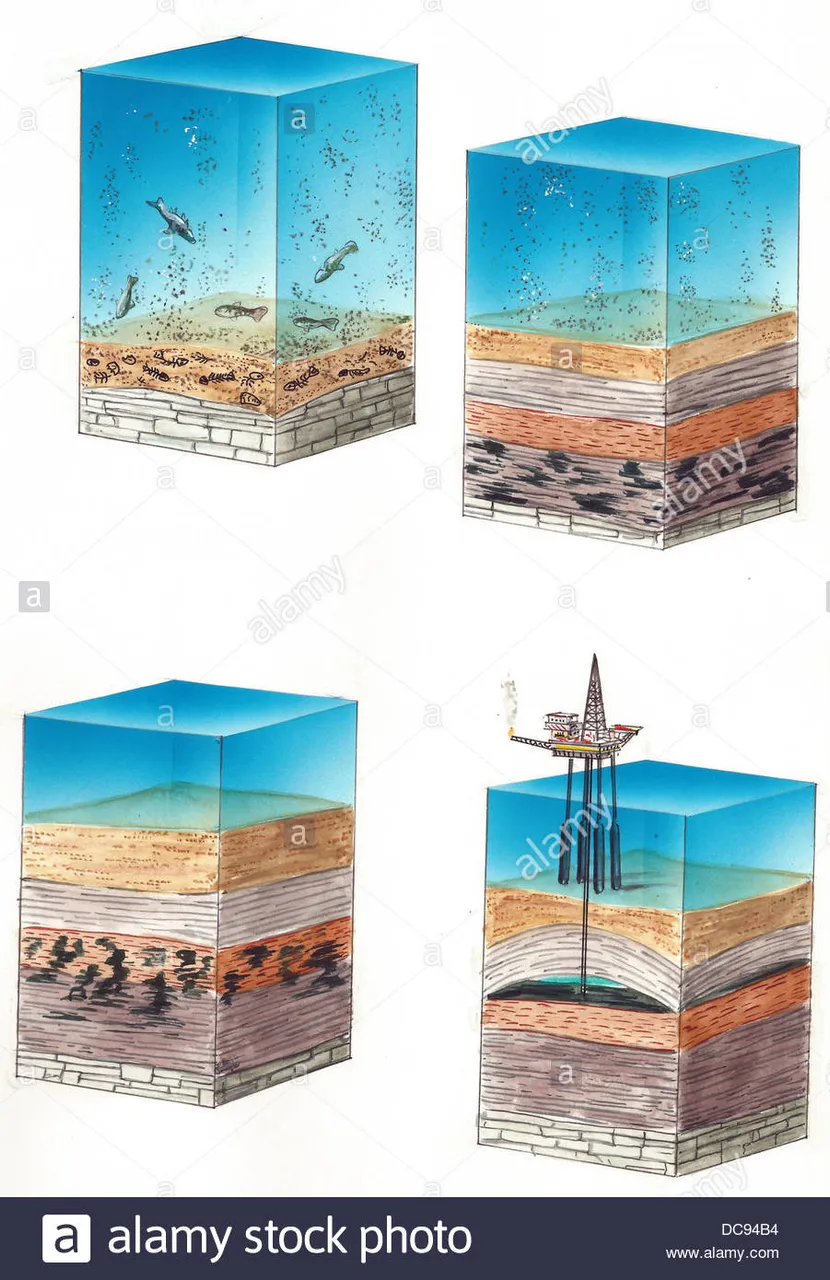 formation-of-petroleum-DC94B4.jpg