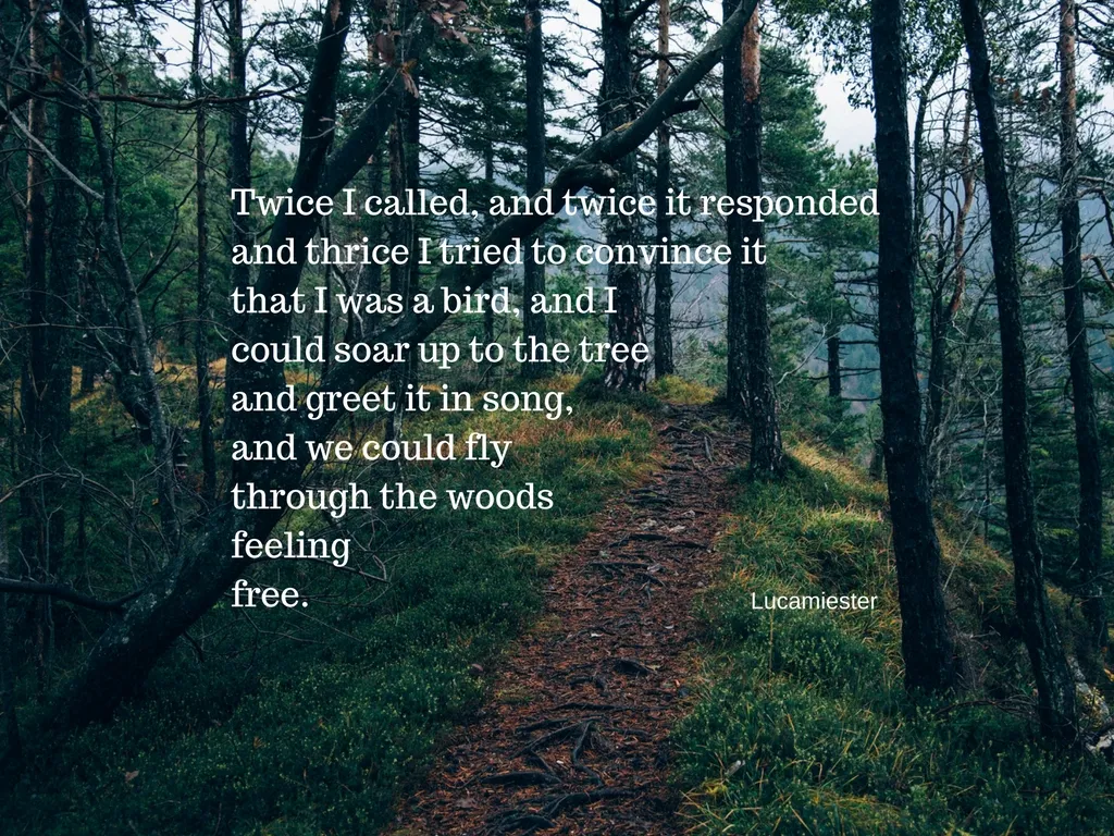 Twice I called, and twice it respondedand thrice I tried to convince itthat I was a bird, and Icould soar up to the treeand greet it in song,and we could flythrough the woodsfeelingfree..jpg