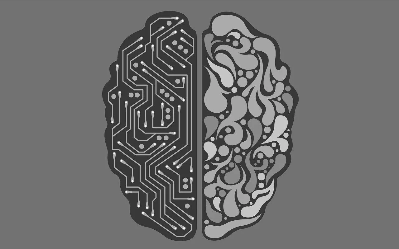 Organic and Digital brain