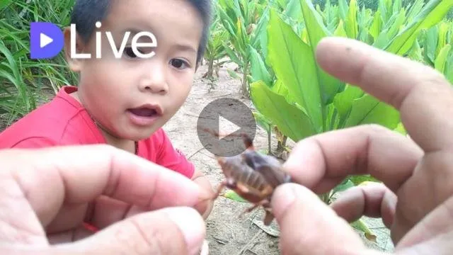 Thumbnail
