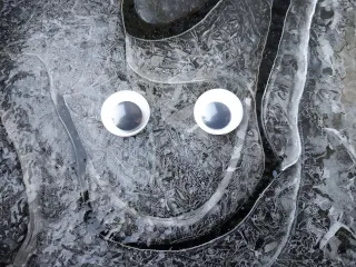 adal.jpg