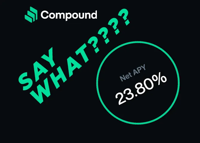 comp.jpg