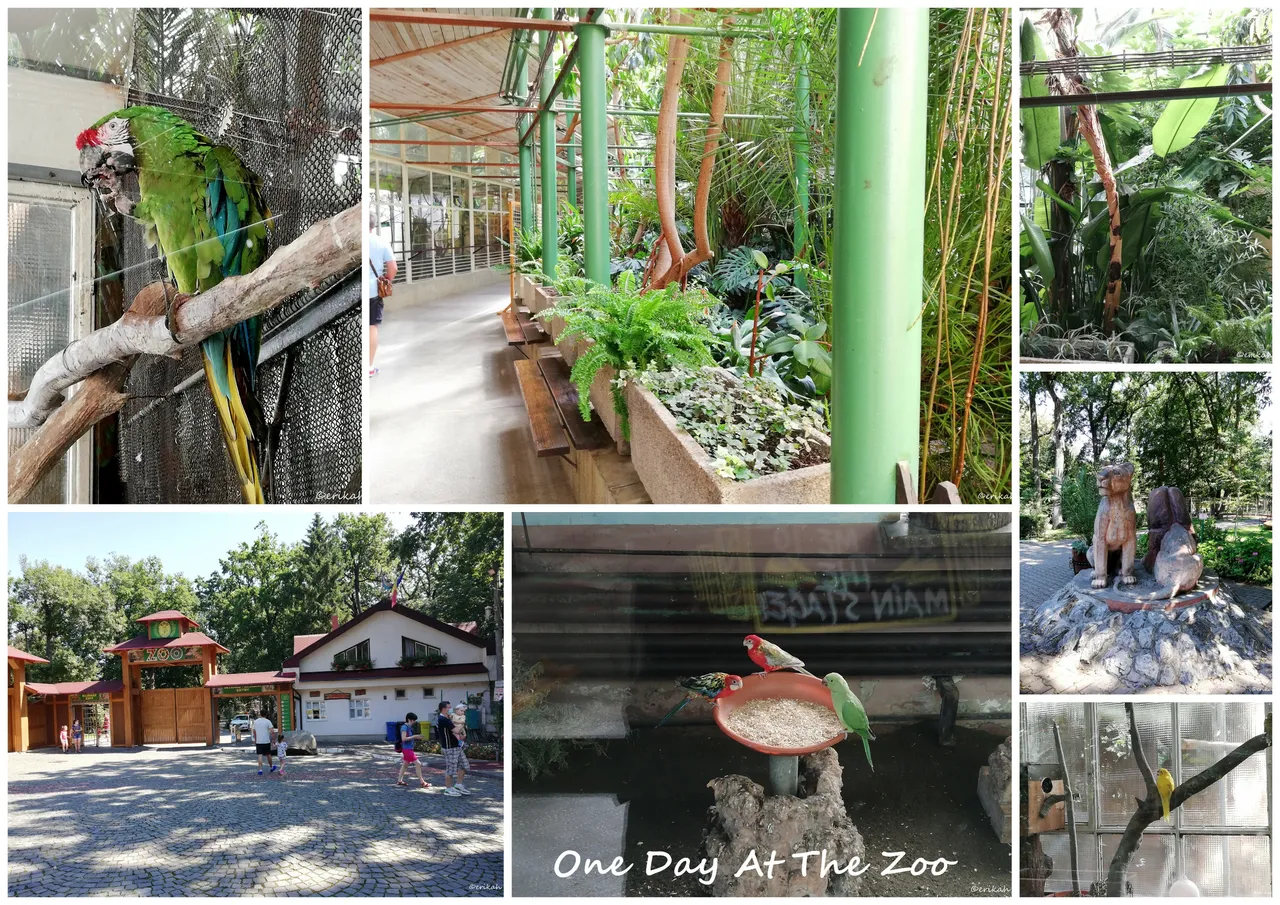 zoo 1.jpg