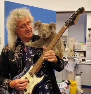 bri.png