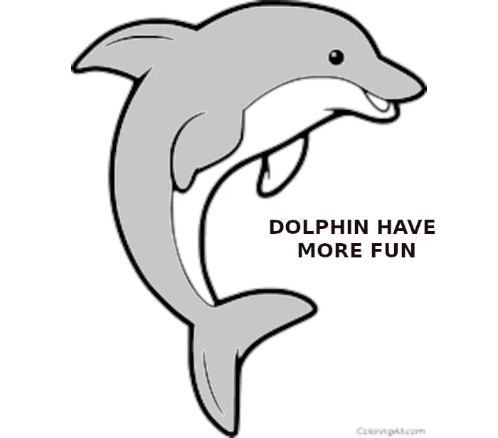 dolphin1.png