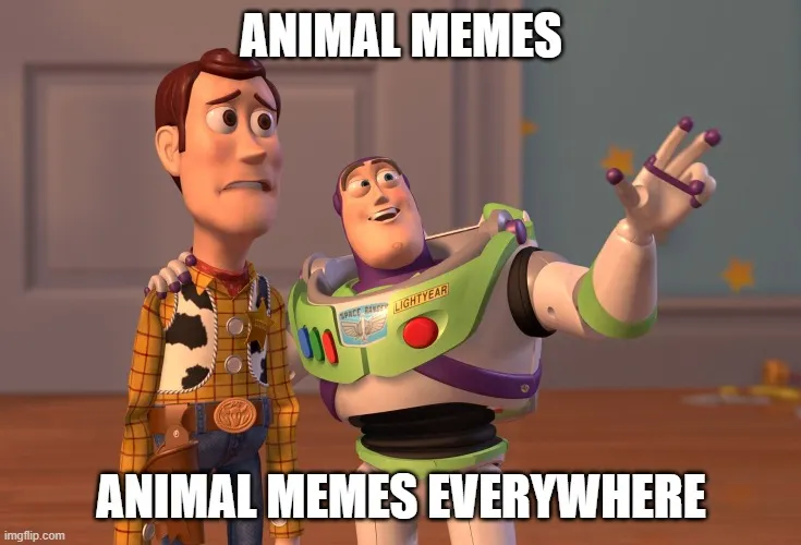 40v6cw.jpg