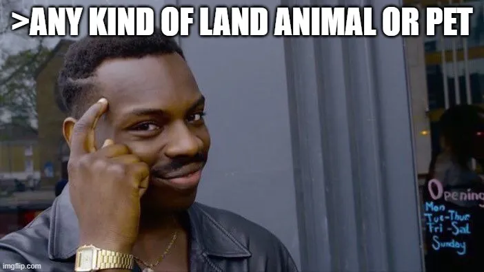 411364.jpg