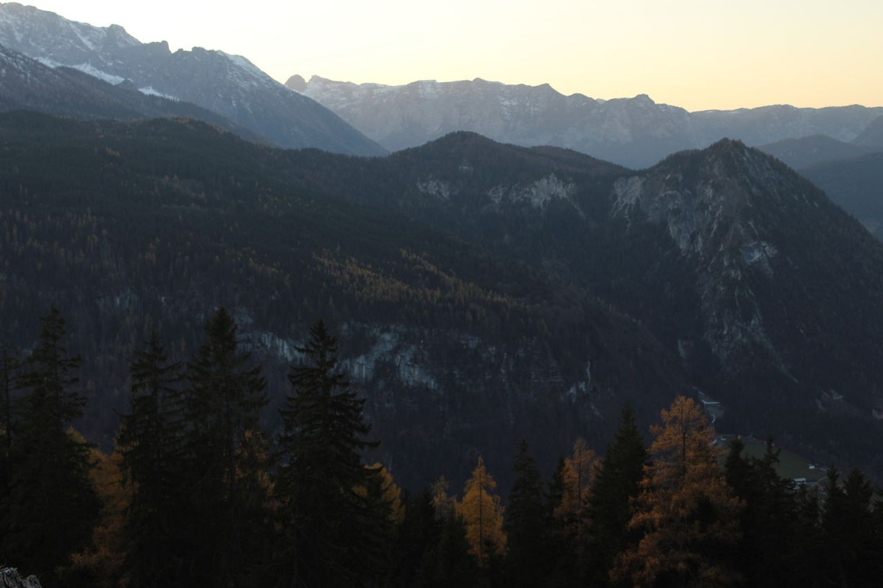 IMG_4588.JPG